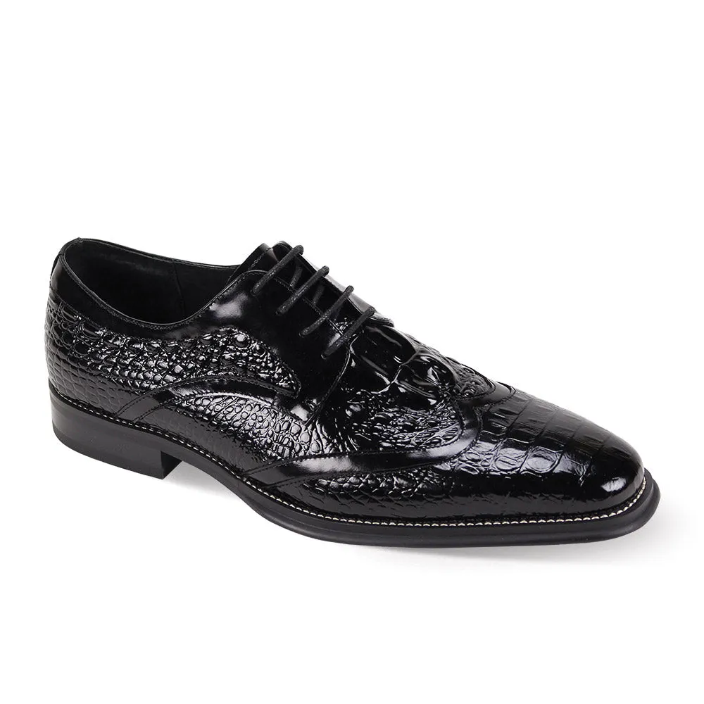 Giovani wing tip lace up shoes